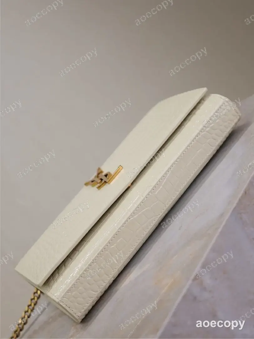 可愛い サンローラン バッグ N級品 185972 No.0167
