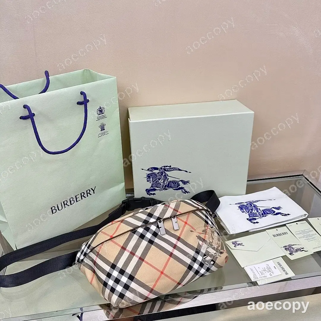 大人気★ バーバリー バッグ コピー 0042F908 No.0195