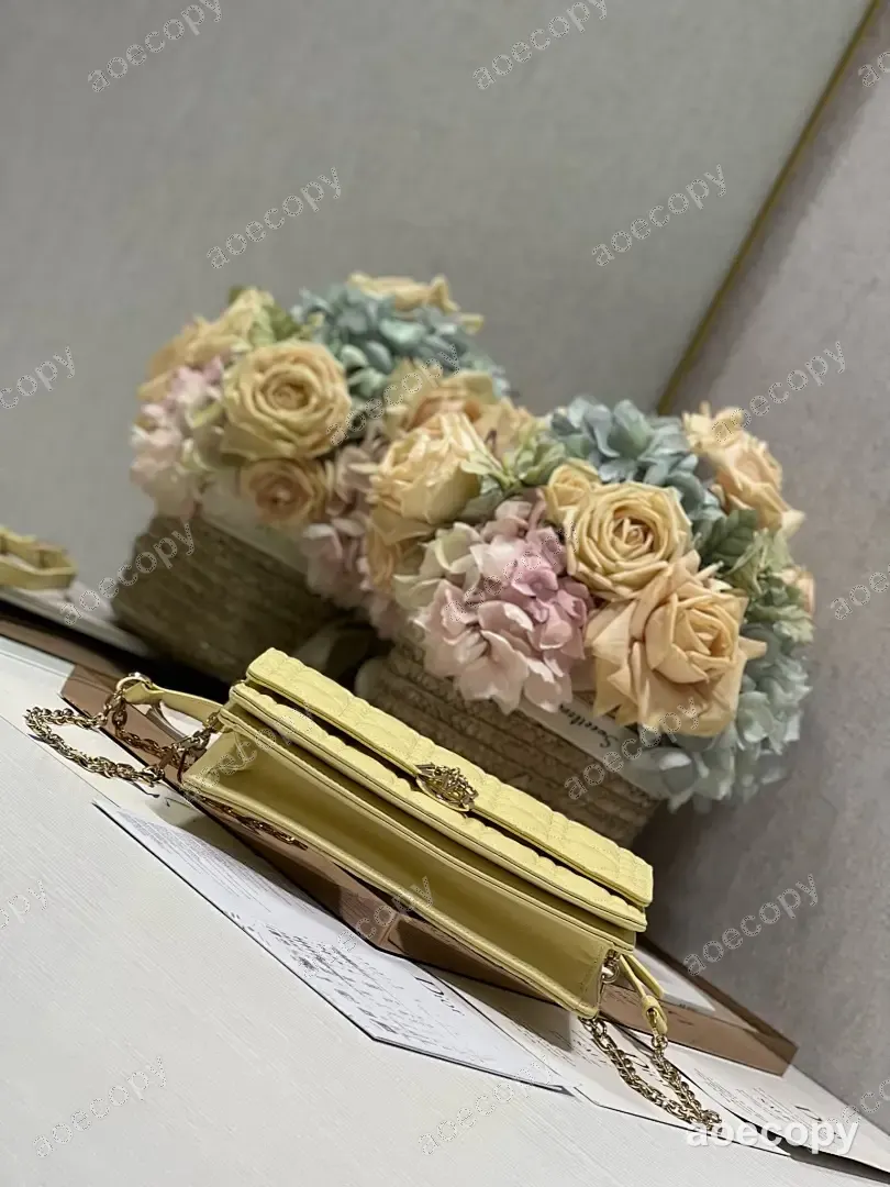 可愛い ディオール バッグ 偽物 24X14X7 No.0263