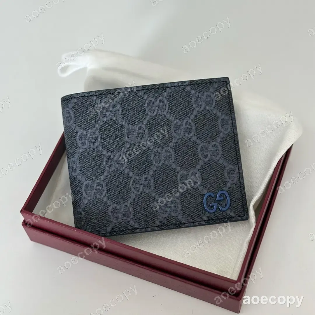 激安 グッチ ウォレット コピー 177917 No.0196