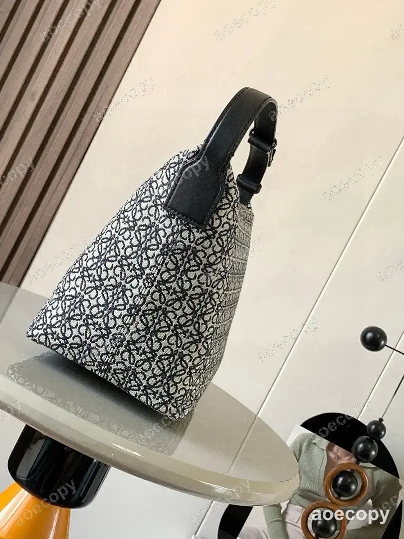 人気新作 ロエベ バッグ N級品 No.0084