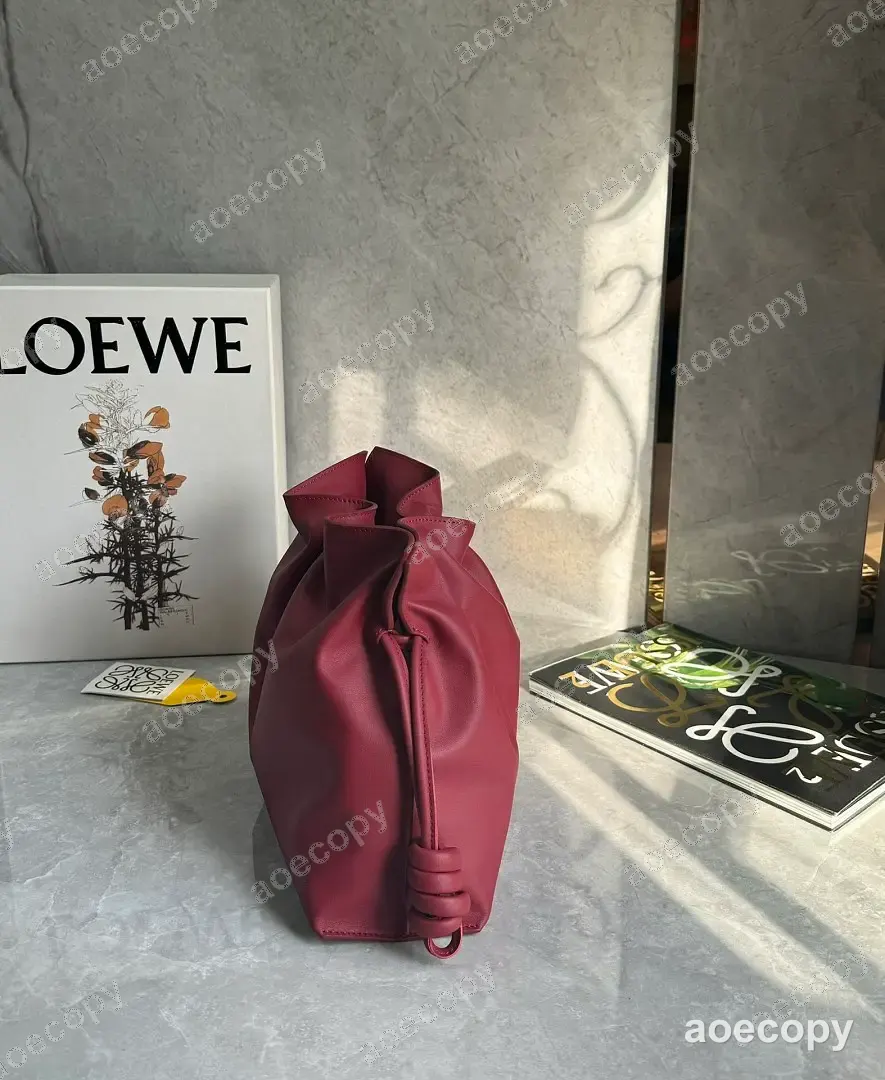 可愛い新作 ロエベ バッグ N級品 No.0014