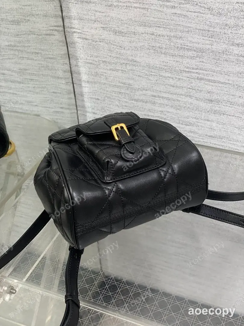 可愛い新作 ディオール バッグ コピー 20X8X18CM No.0241
