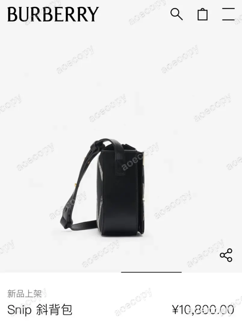 可愛い バーバリー バッグ N級品 0052607A No.0402