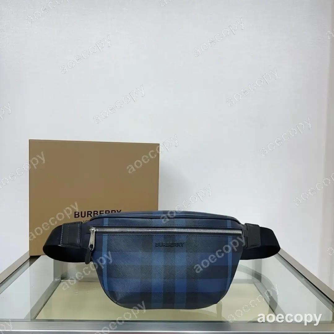 大人気★ バーバリー バッグ 偽物 017648C9 No.0267
