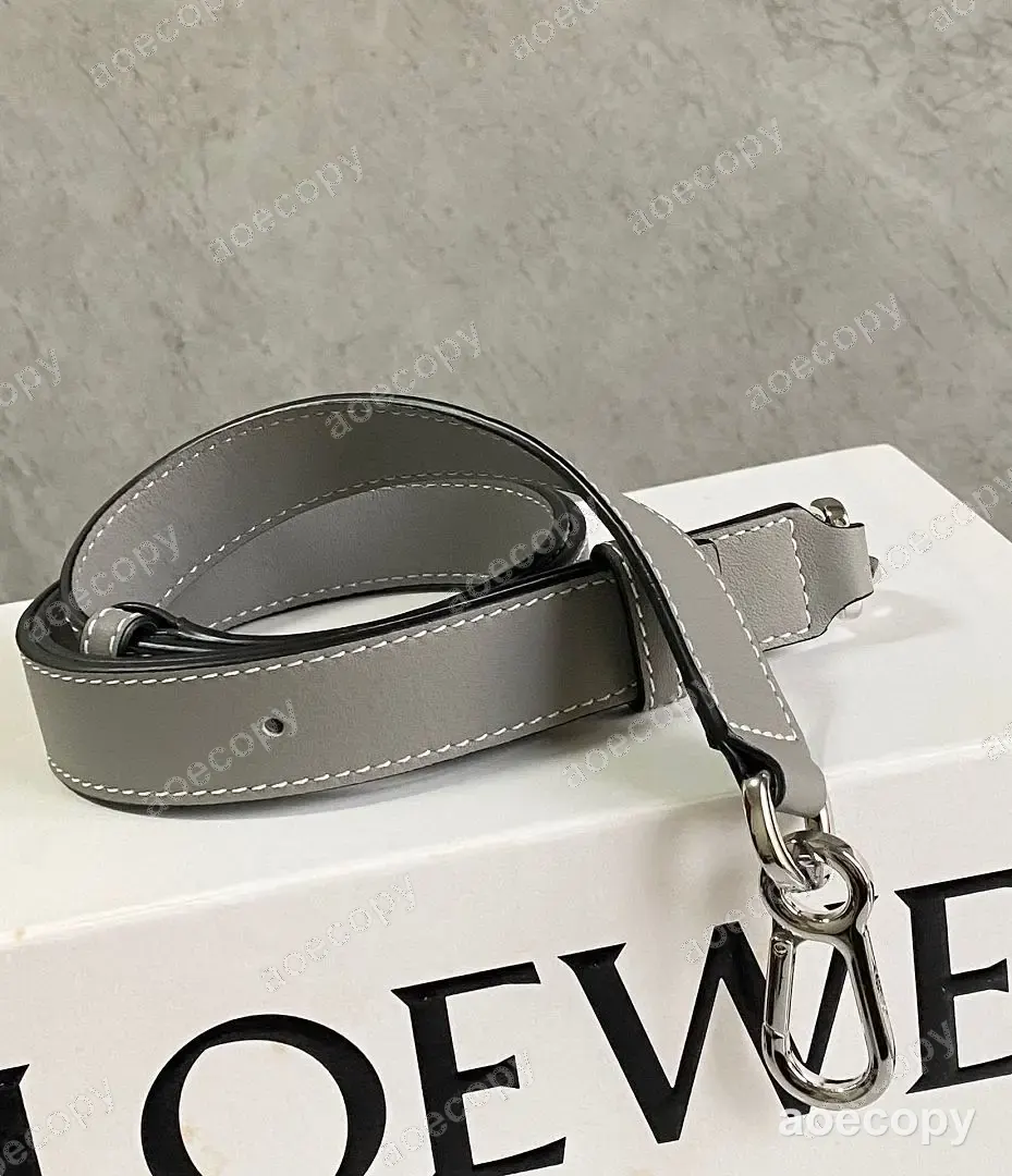 新作 ロエベ バッグ N級品 No.0645
