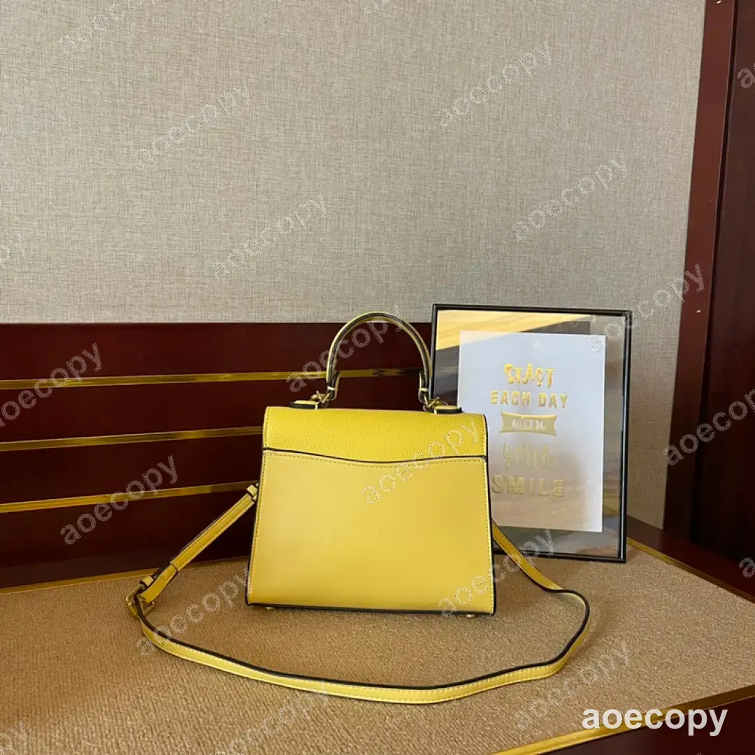 大人気★ コーチ バッグ コピー DD5501950 No.0013