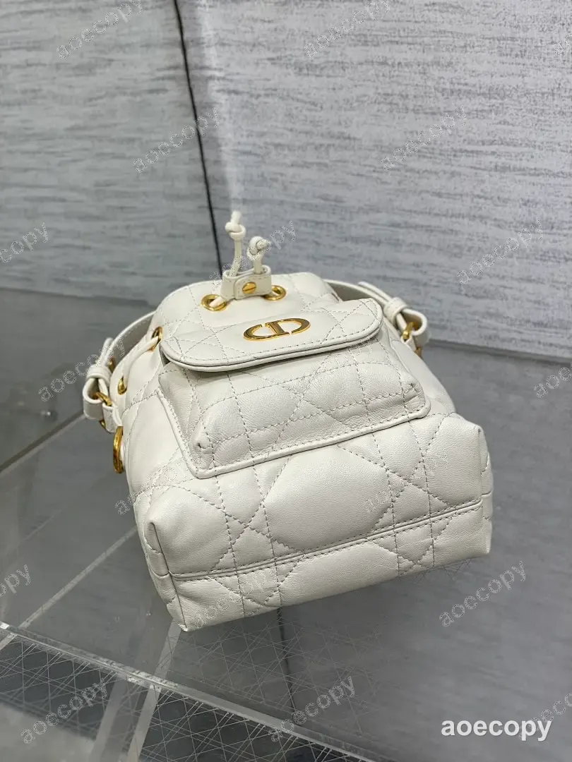 可愛い ディオール バッグ スーパーコピー 20X9X24CM No.0083