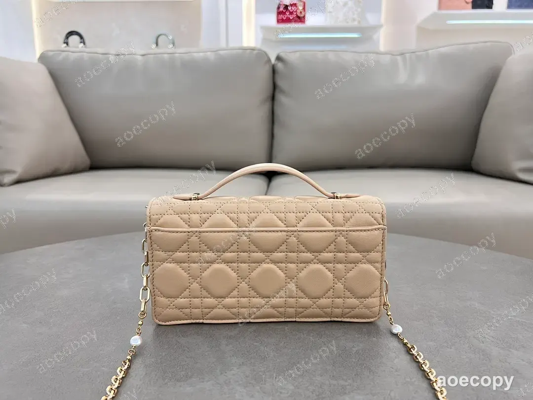 可愛い ディオール バッグ N級品 21X11 No.0188