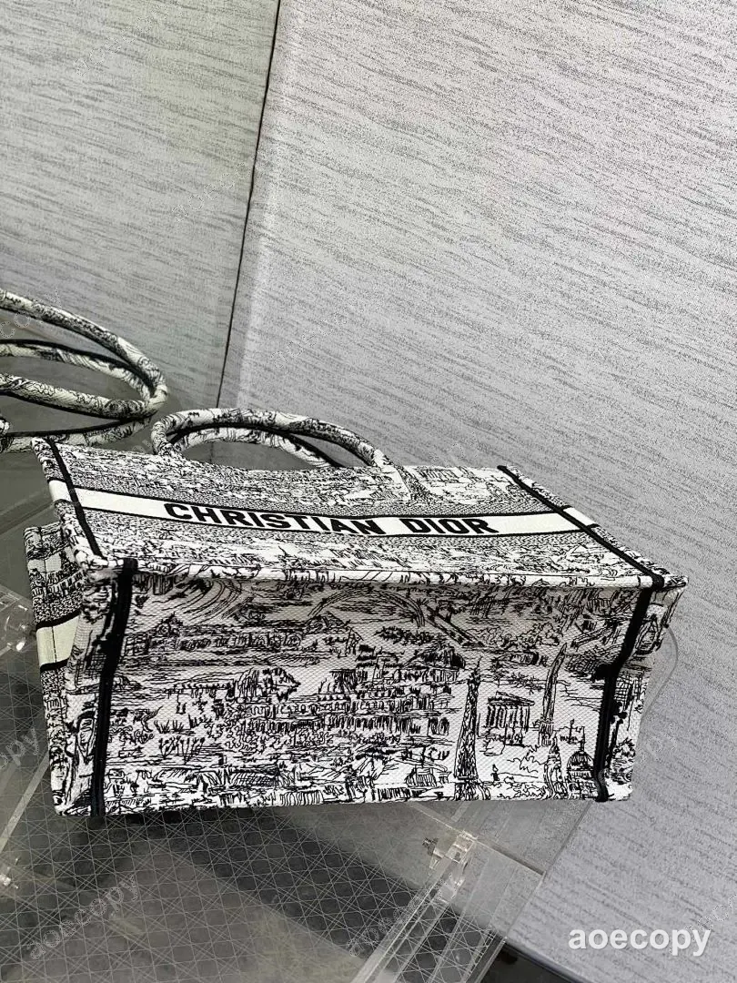 新作 ディオール バッグ N級品 55123161 No.0315