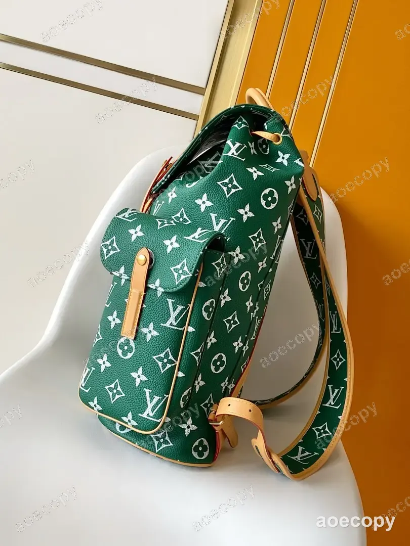 可愛い ルイ・ヴィトン バッグ コピー 213627 No.0001