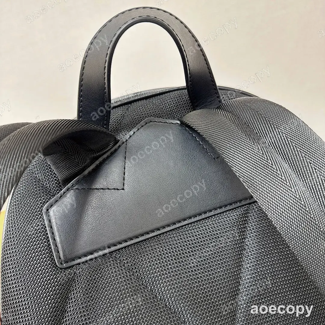 大人気★ バーバリー バッグ スーパーコピー 01072C6E No.0087
