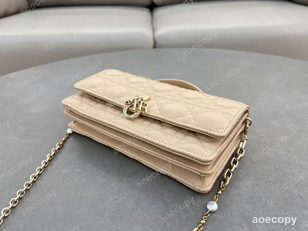 可愛い ディオール バッグ N級品 21X11 No.0188