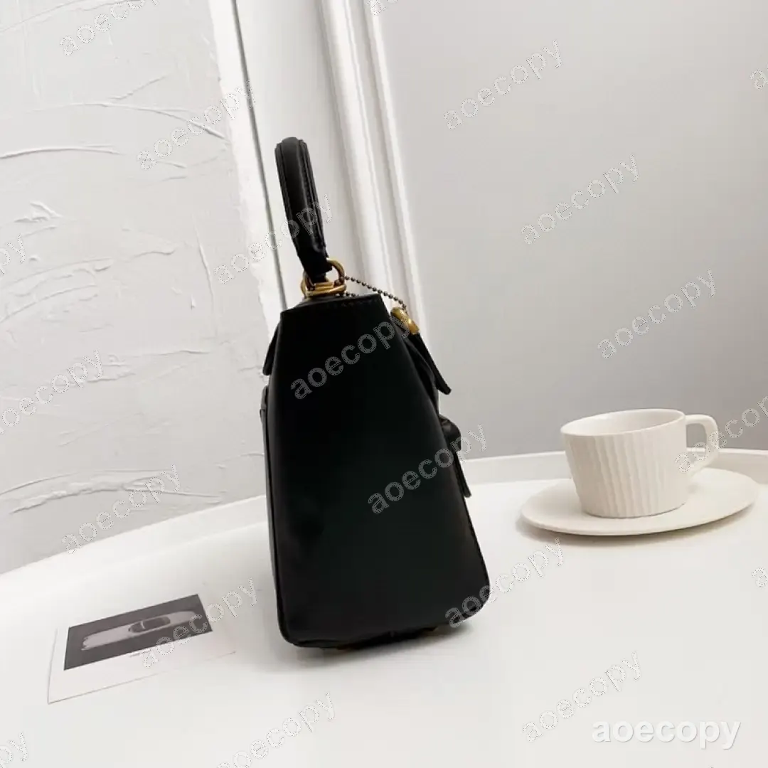 可愛い コーチ バッグ コピー DD44102650 No.0016