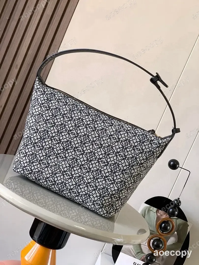人気新作 ロエベ バッグ N級品 No.0084