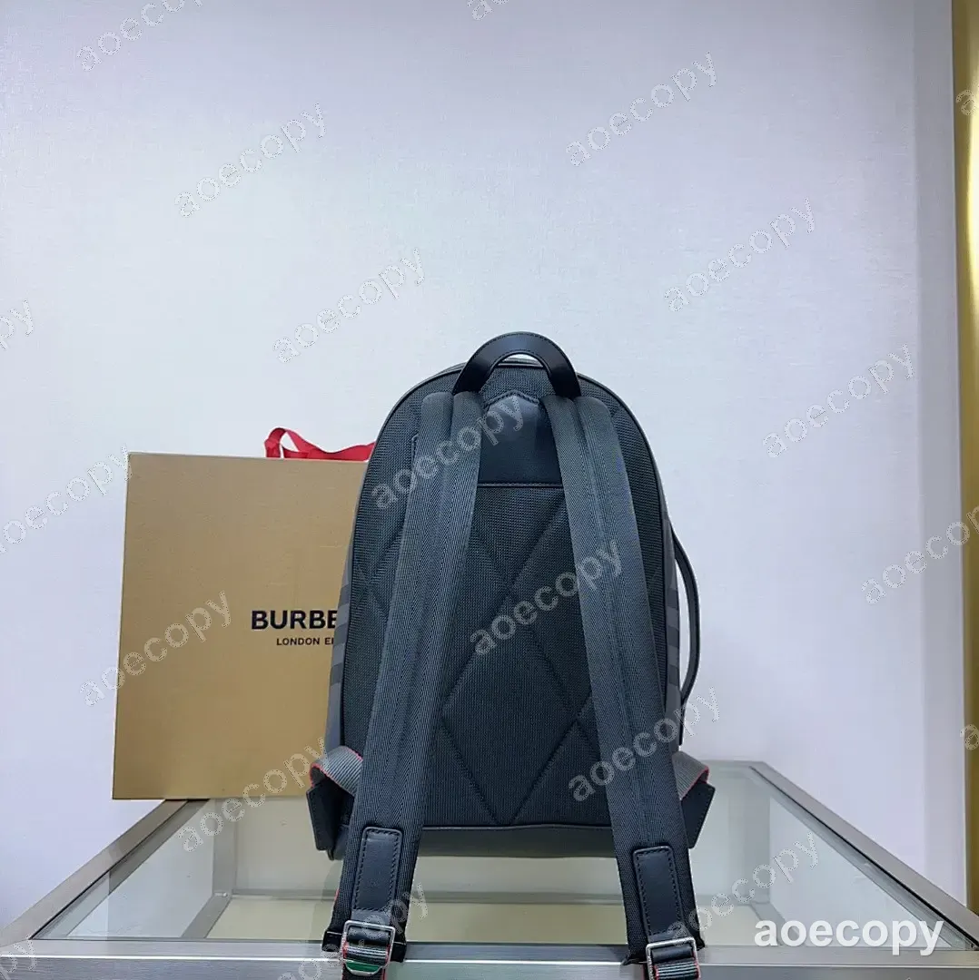 大人気★ バーバリー バッグ スーパーコピー 01072C6E No.0087
