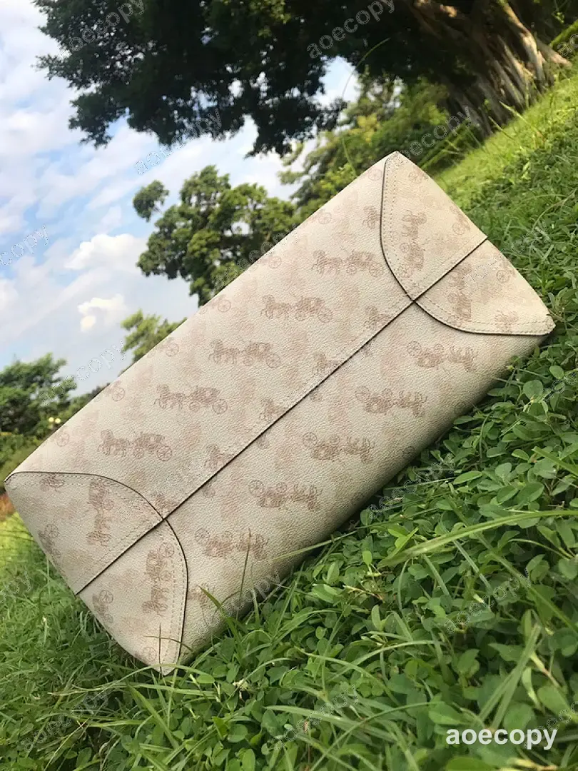 可愛い コーチ バッグ スーパーコピー DD44102250 No.0058