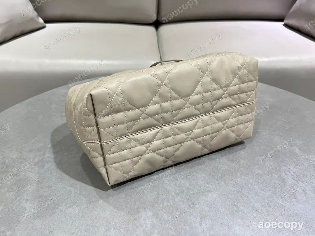 大人気★ ディオール バッグ スーパーコピー 5X19X21CM No.0176