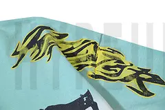 Printed graphic on the front of the clothes
