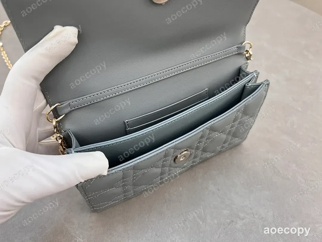 可愛い ディオール バッグ N級品 21X11 No.0191