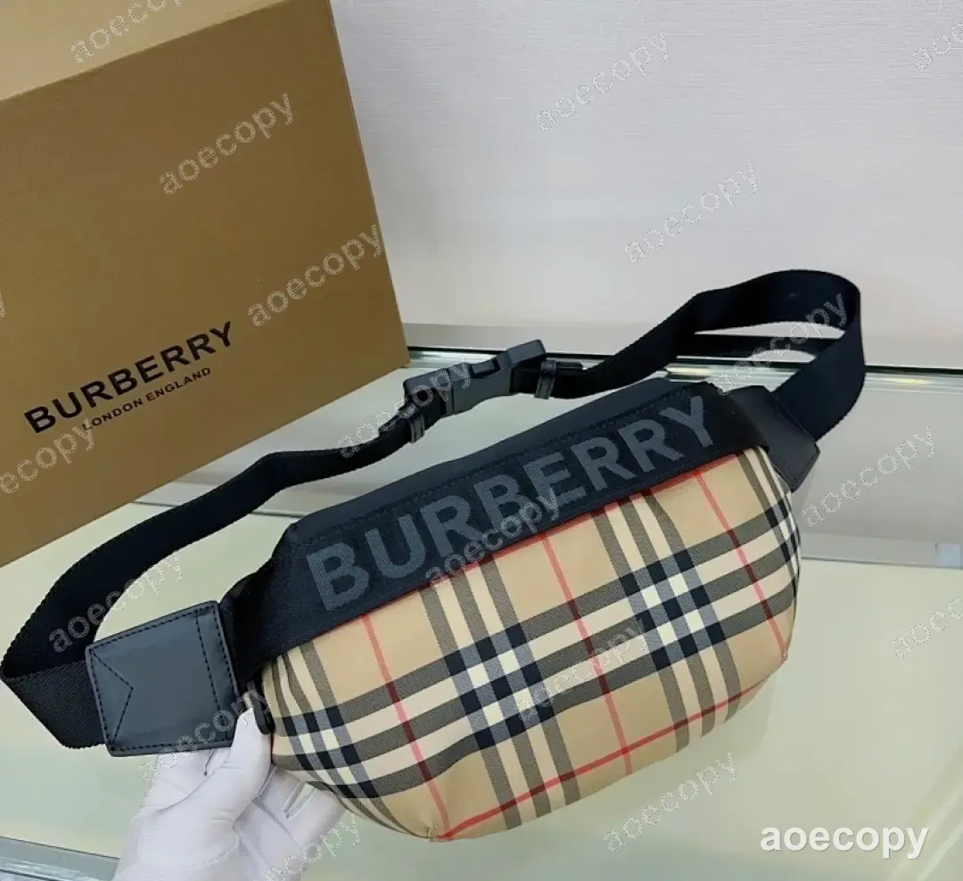 可愛い バーバリー バッグ N級品 0171923E No.0240