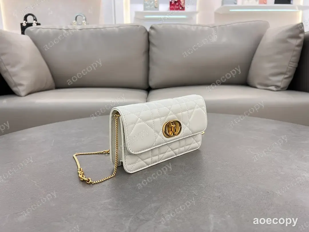 可愛い ディオール バッグ スーパーコピー 50123157 No.0209