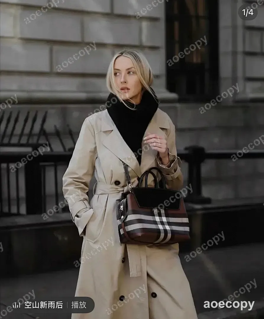 可愛い バーバリー バッグ スーパーコピー 0219A5F8 No.0114