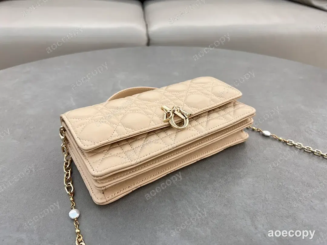 可愛い ディオール バッグ N級品 21X11 No.0188