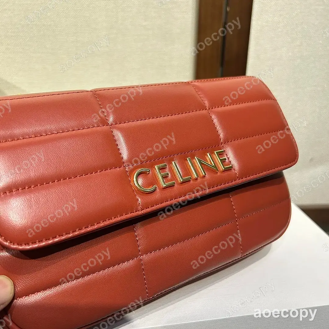 可愛い新作 セリーヌ バッグ スーパーコピー No.0100