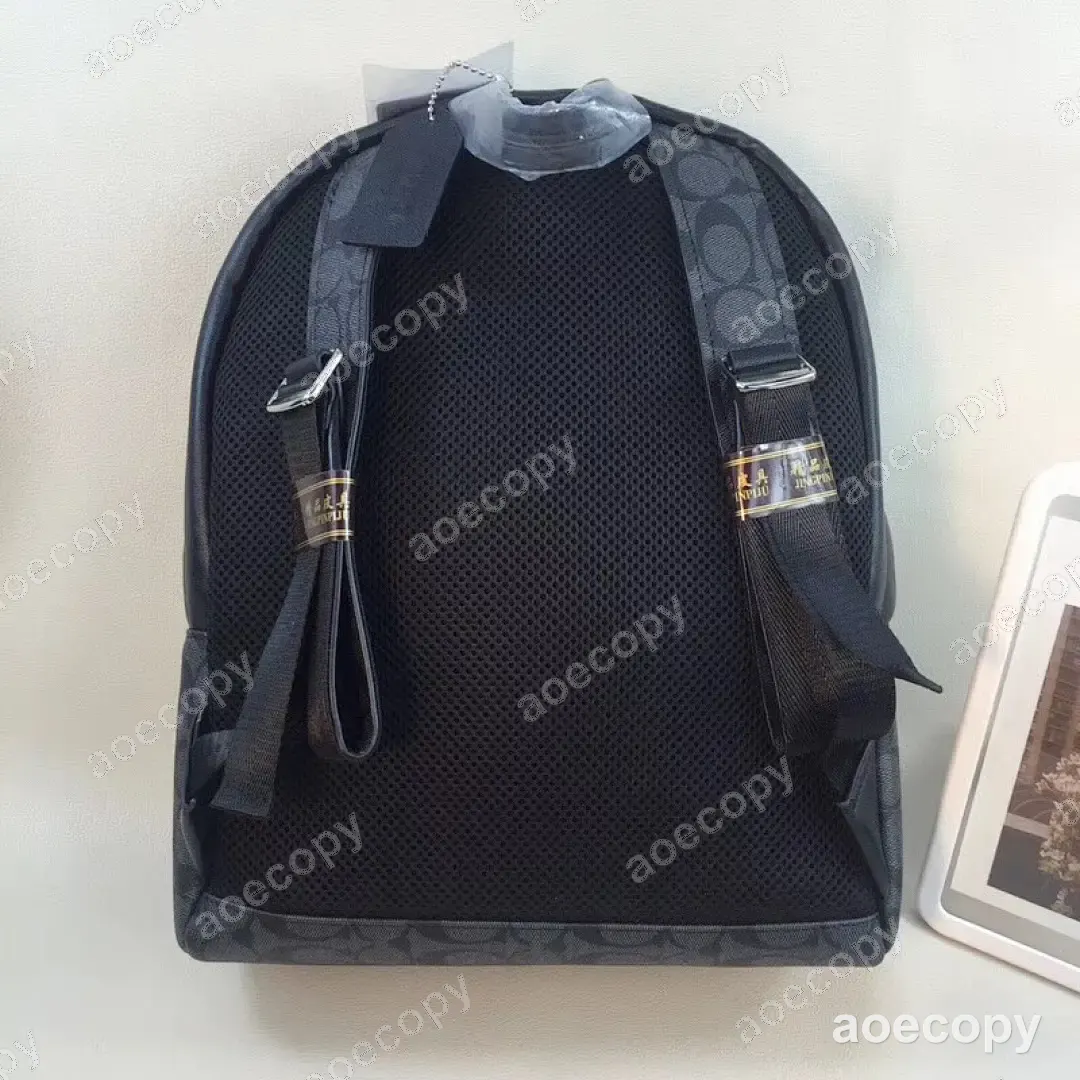 可愛い新作 コーチ バッグ N級品 002050 No.0003