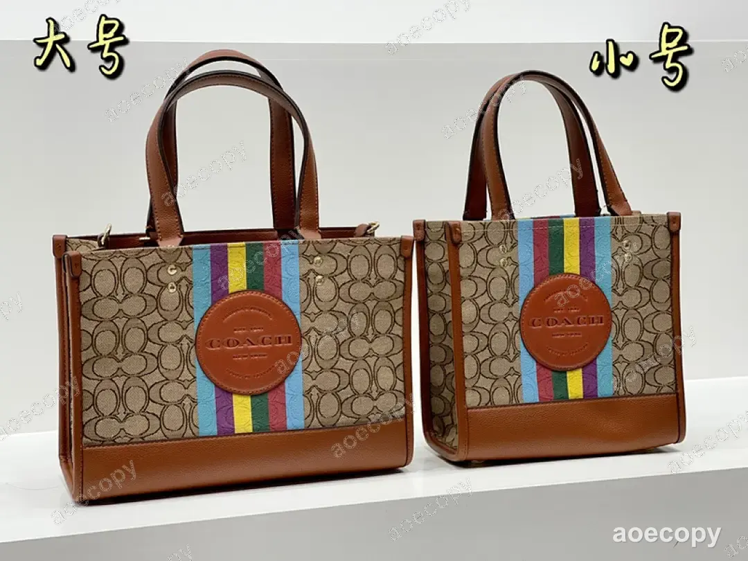 新作 コーチ バッグ N級品 DD2302250 No.0032