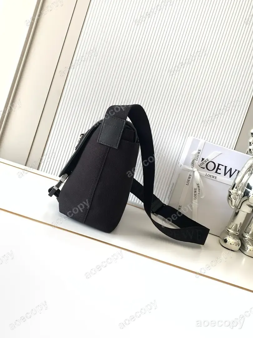可愛い新作 ロエベ バッグ N級品 No.0407
