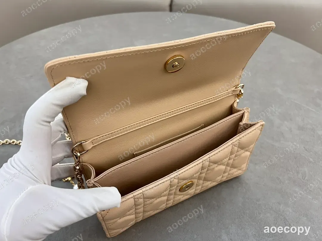 可愛い ディオール バッグ N級品 21X11 No.0188