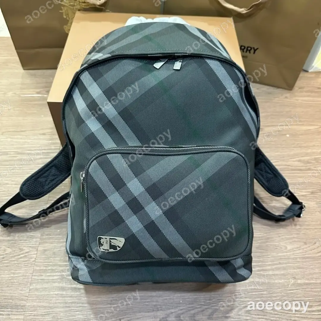 可愛い バーバリー バッグ スーパーコピー 0055665F No.0246