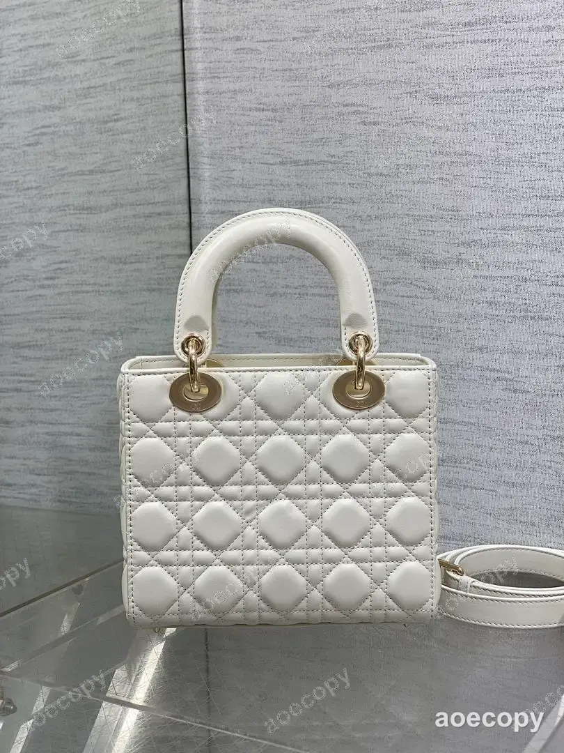 可愛い ディオール バッグ コピー 20X8X17CM No.0269