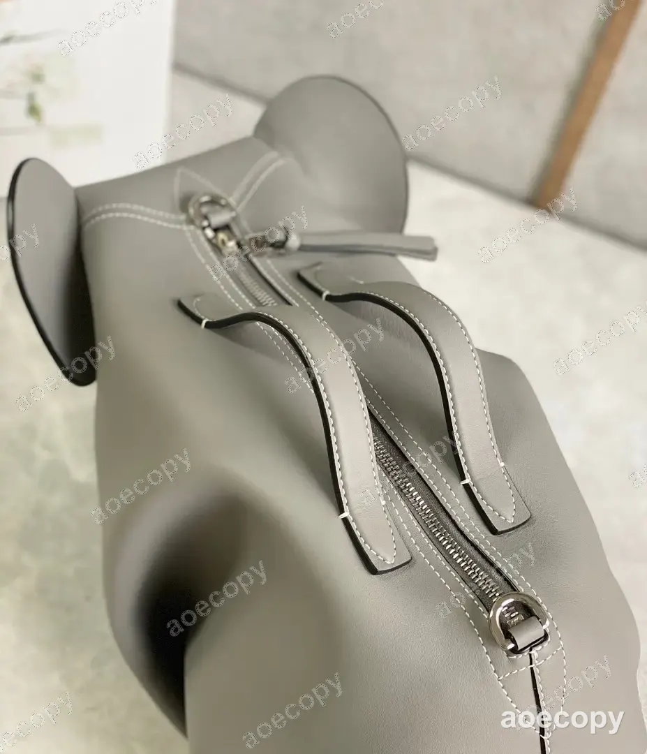 新作 ロエベ バッグ N級品 No.0645