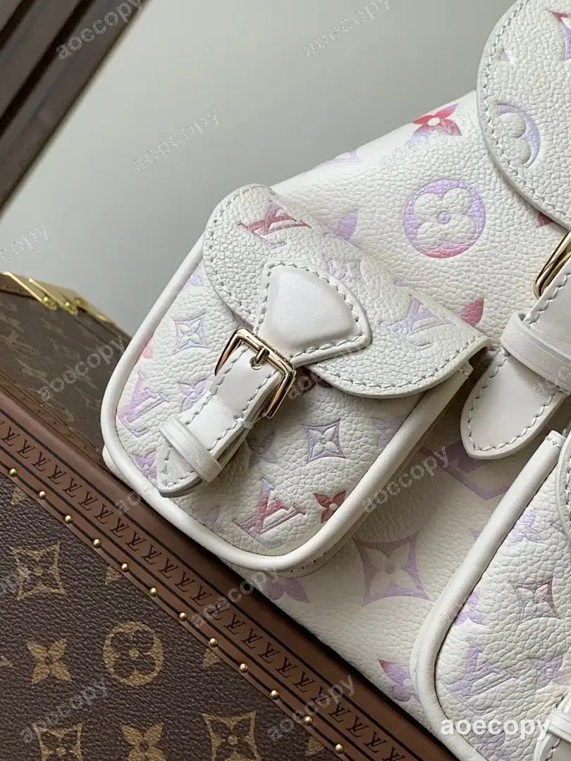 新作 ルイ・ヴィトン バッグ N級品 213649 No.0018