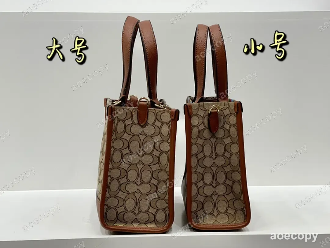 新作 コーチ バッグ N級品 DD2302250 No.0032