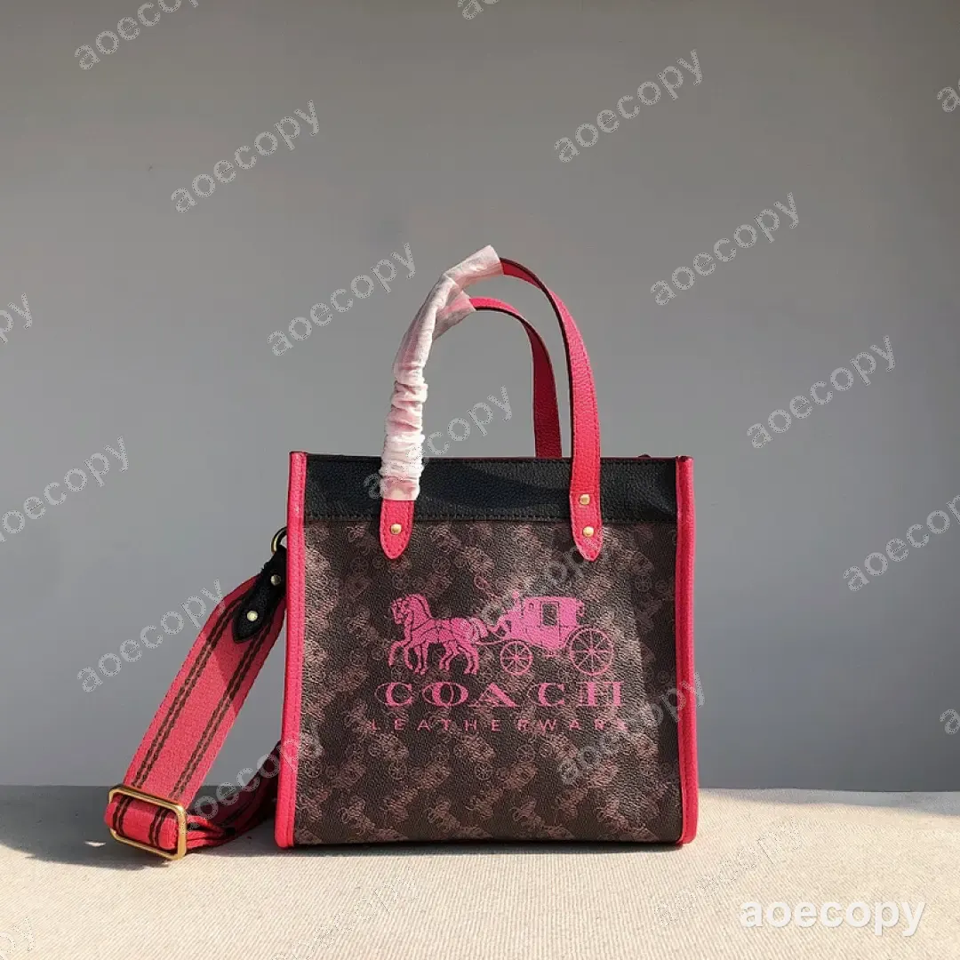 大人気★ コーチ バッグ コピー DD44102250 No.0109