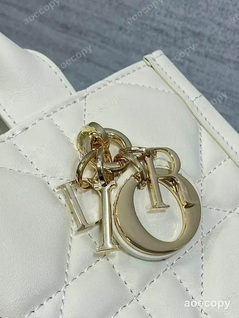 大人気★ ディオール バッグ 偽物 5X13CM No.0419