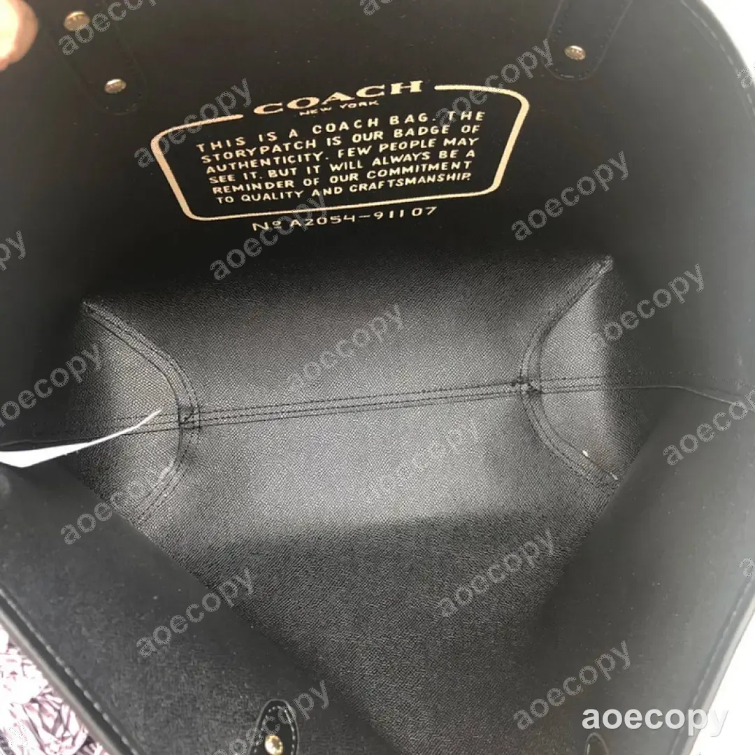 可愛い コーチ バッグ スーパーコピー DD44102250 No.0058